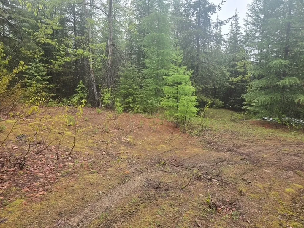 Lot 22 Nine Mile Road Huson MT 59846