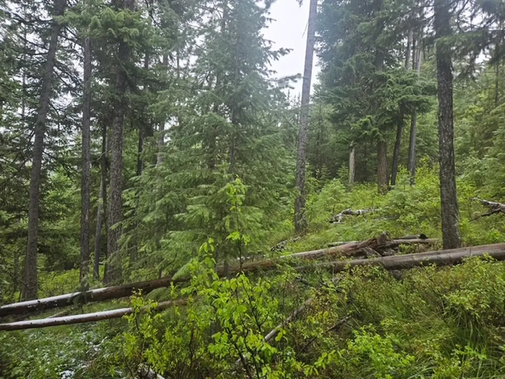 Lot 22 Nine Mile Road Huson MT 59846