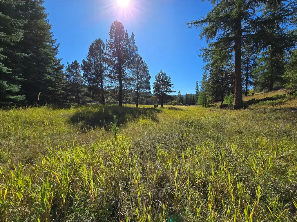 338 River View Drive Yaak MT 59935