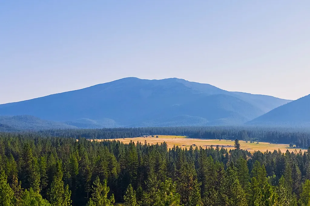 18 Baldy Mountain View Road Plains MT 59859
