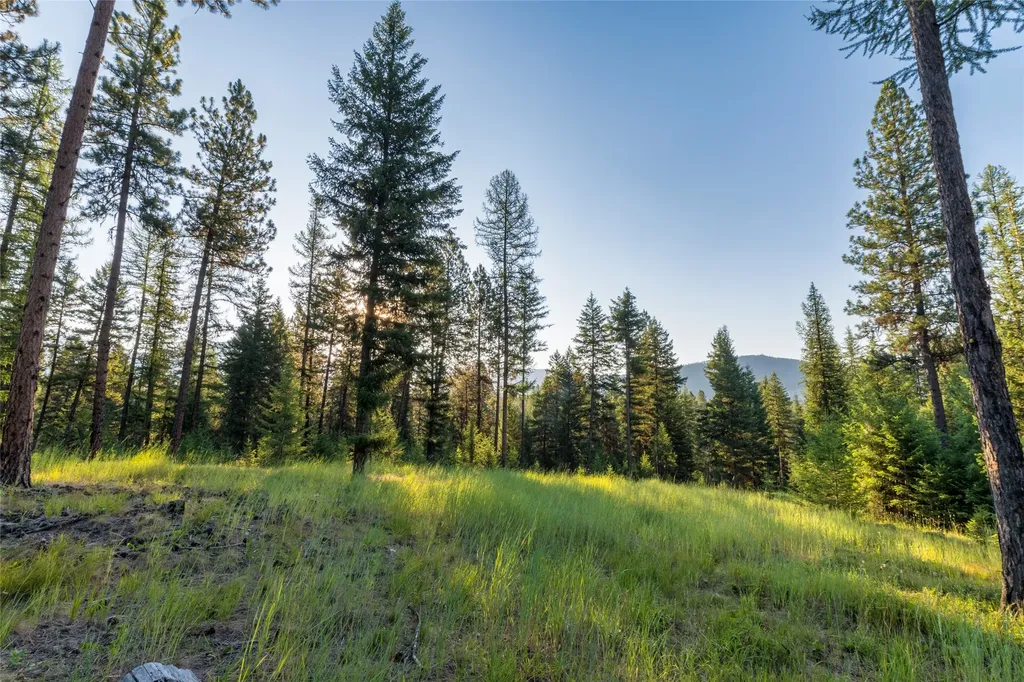 18 Baldy Mountain View Road Plains MT 59859
