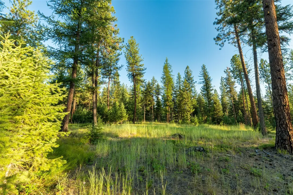 18 Baldy Mountain View Road Plains MT 59859