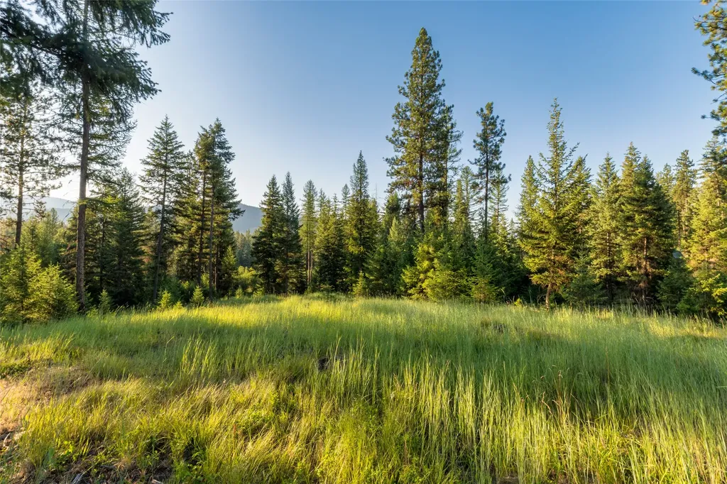 18 Baldy Mountain View Road Plains MT 59859