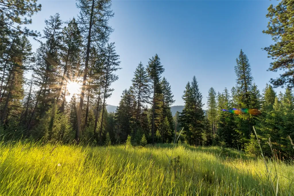 18 Baldy Mountain View Road Plains MT 59859