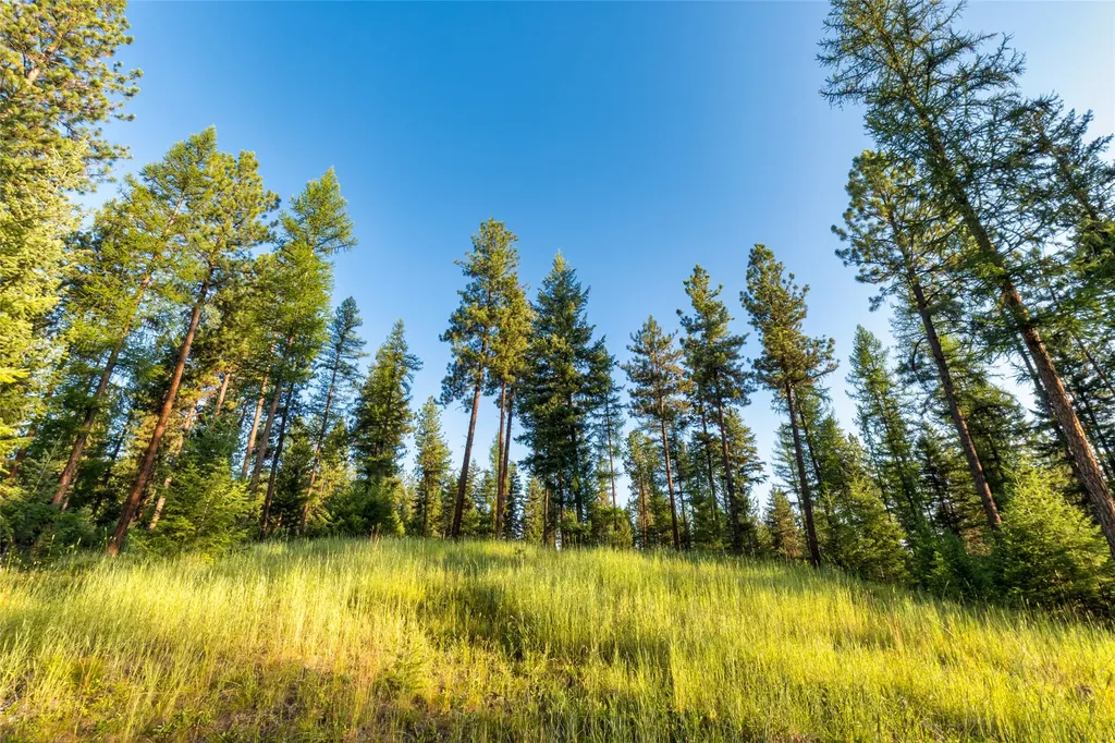 18 Baldy Mountain View Road Plains MT 59859