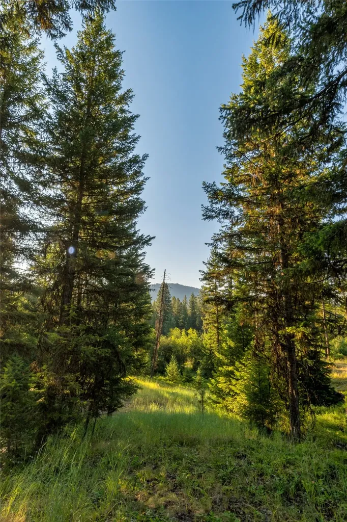 18 Baldy Mountain View Road Plains MT 59859