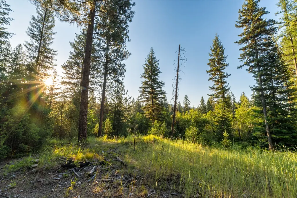 18 Baldy Mountain View Road Plains MT 59859