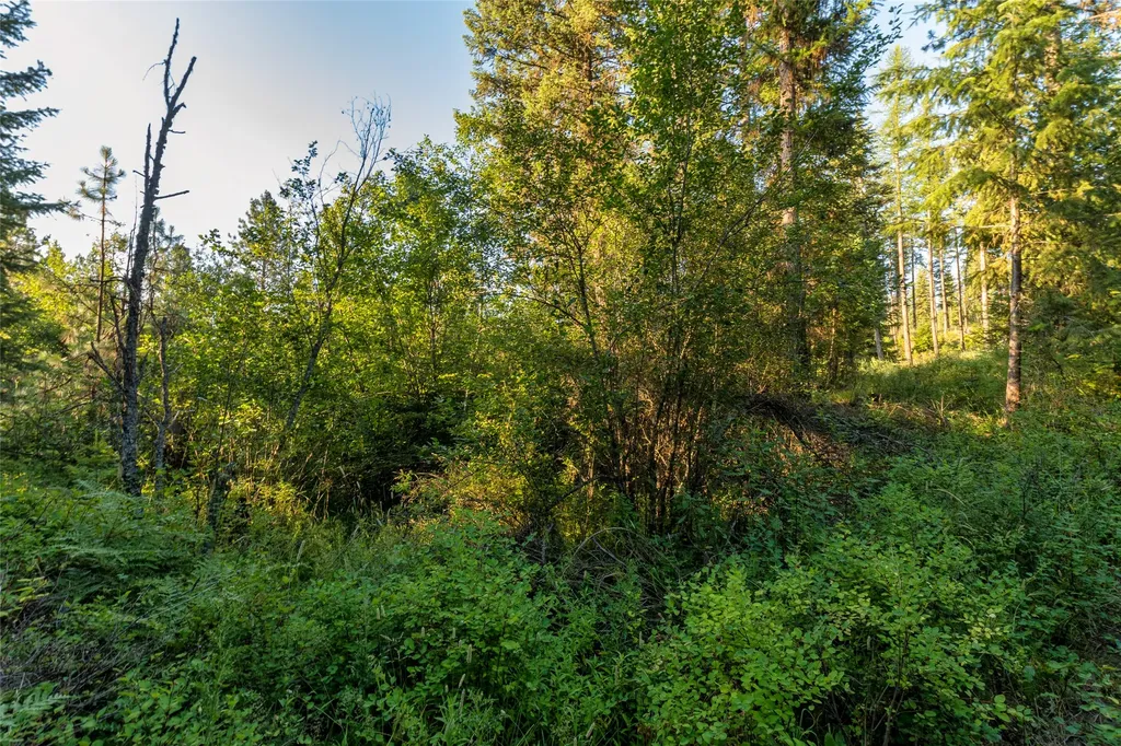 18 Baldy Mountain View Road Plains MT 59859