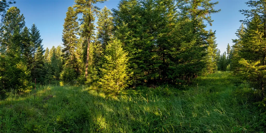 18 Baldy Mountain View Road Plains MT 59859