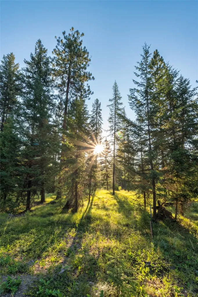 18 Baldy Mountain View Road Plains MT 59859