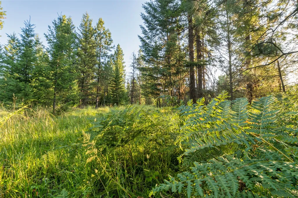18 Baldy Mountain View Road Plains MT 59859