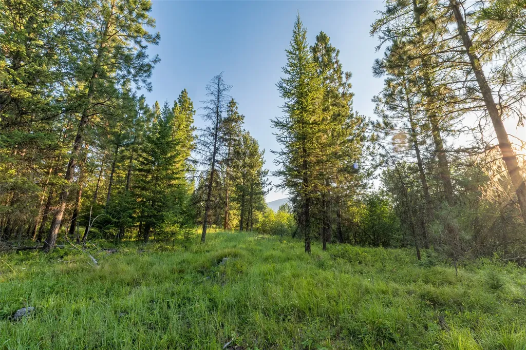 18 Baldy Mountain View Road Plains MT 59859