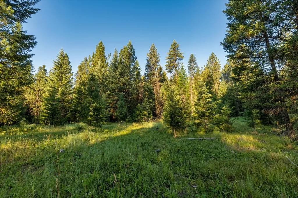 18 Baldy Mountain View Road Plains MT 59859