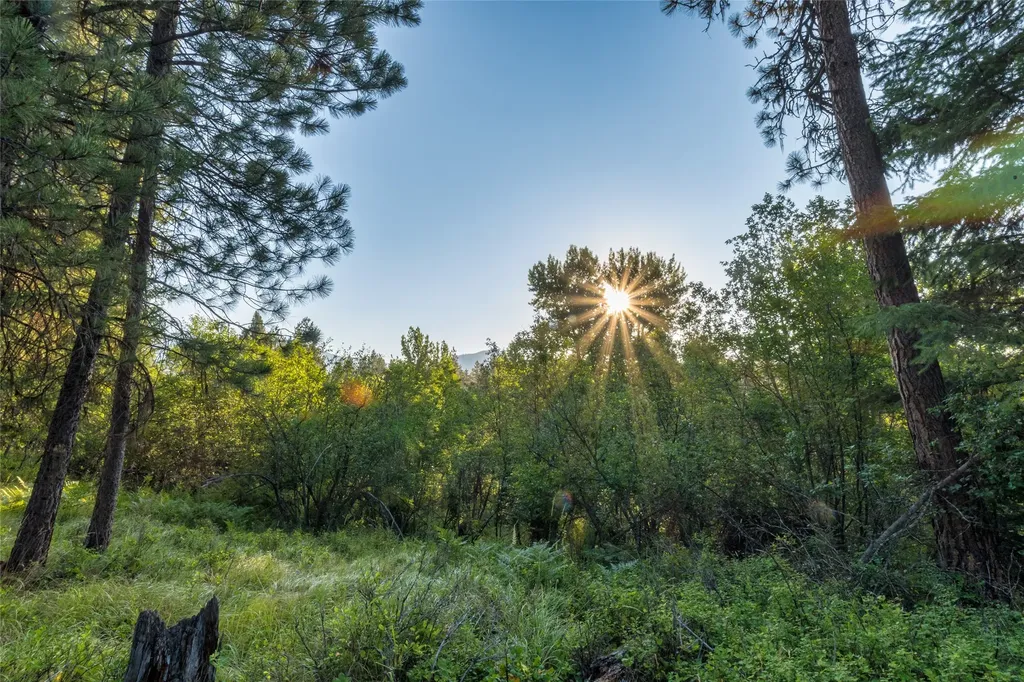 18 Baldy Mountain View Road Plains MT 59859