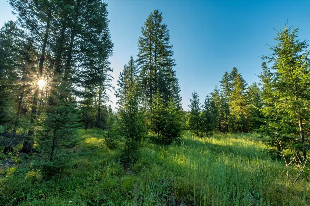18 Baldy Mountain View Road Plains MT 59859