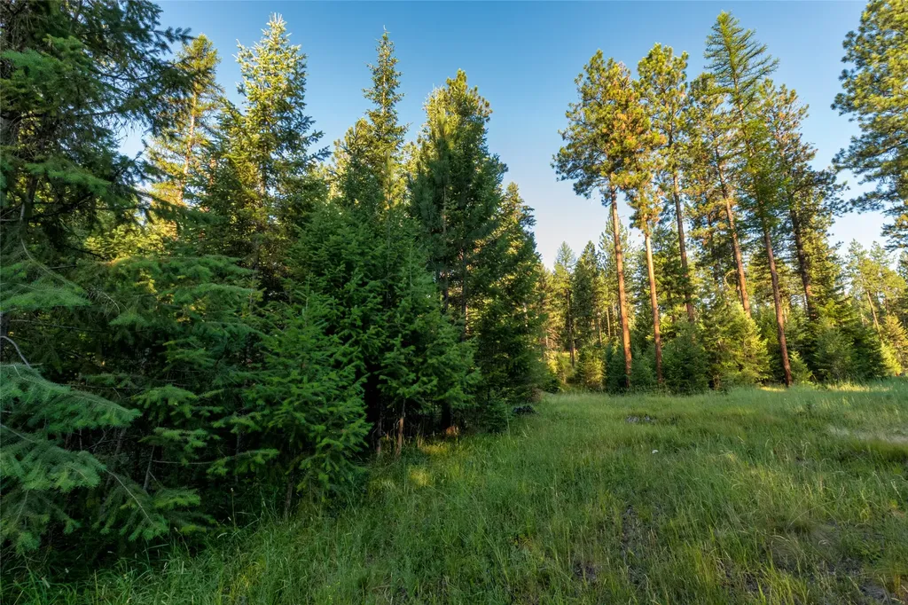 18 Baldy Mountain View Road Plains MT 59859