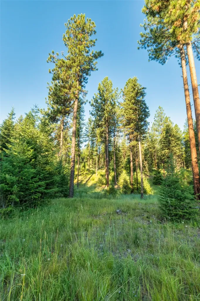18 Baldy Mountain View Road Plains MT 59859