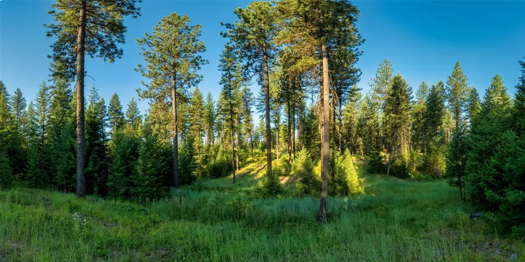 18 Baldy Mountain View Road Plains MT 59859