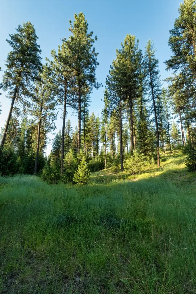 18 Baldy Mountain View Road Plains MT 59859