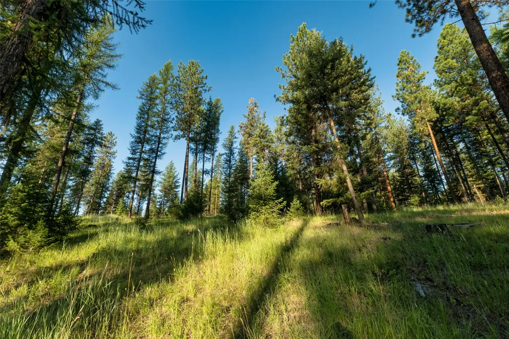 18 Baldy Mountain View Road Plains MT 59859