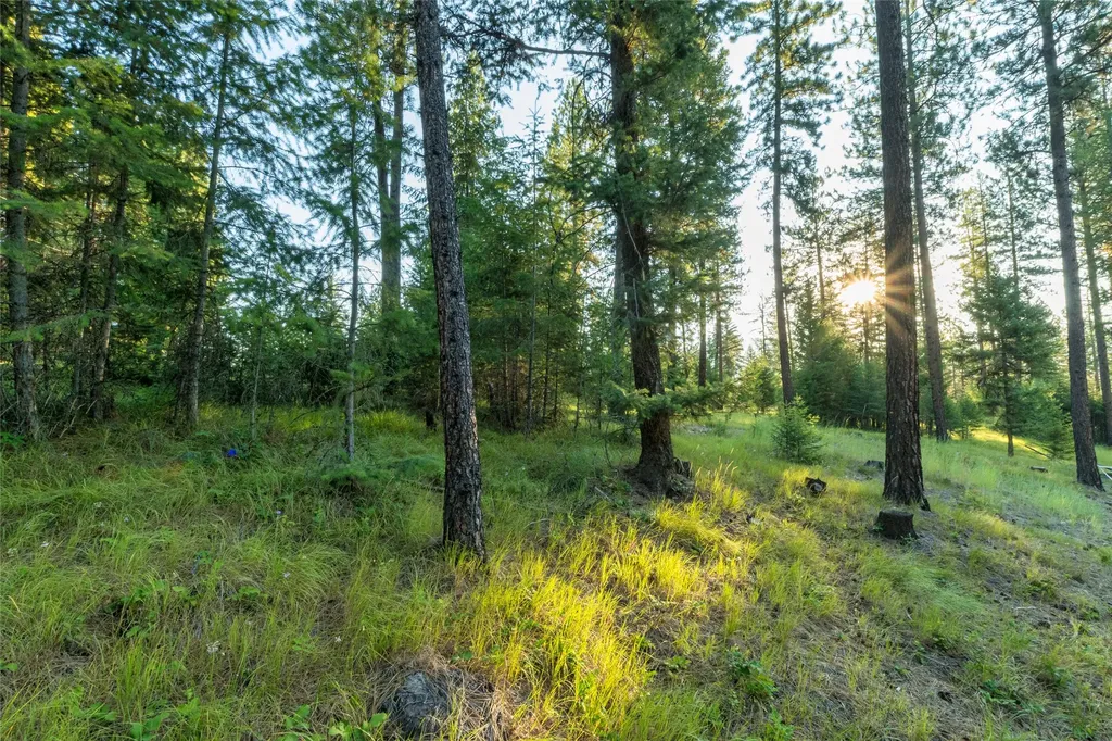 18 Baldy Mountain View Road Plains MT 59859