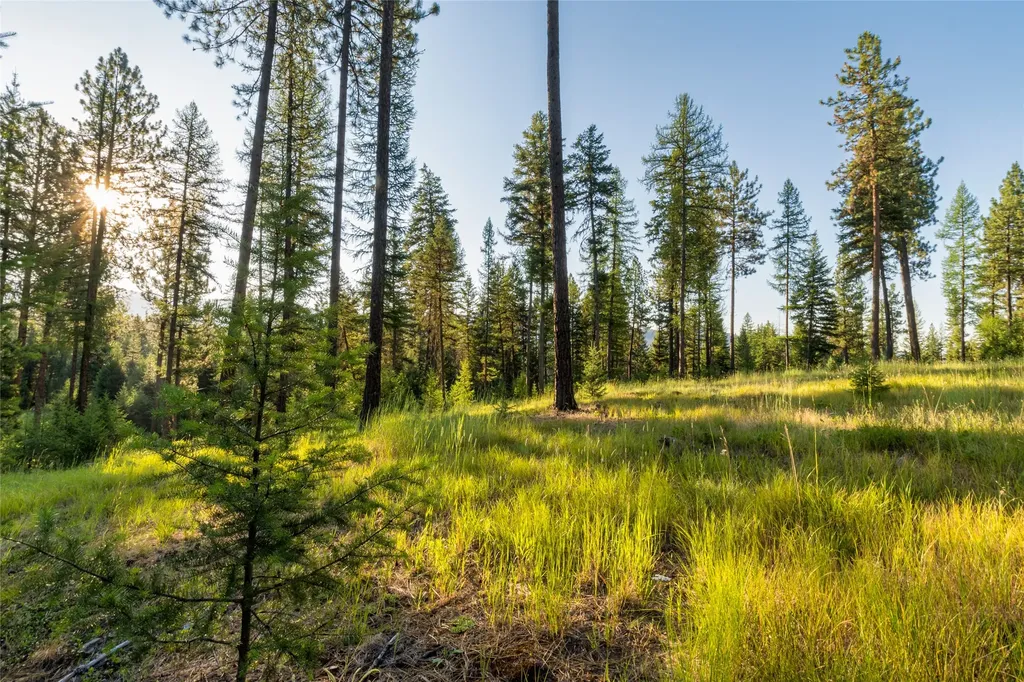 18 Baldy Mountain View Road Plains MT 59859