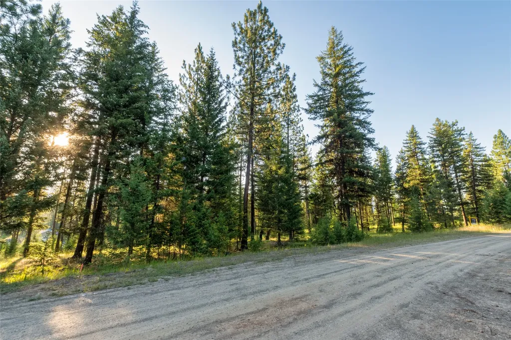 18 Baldy Mountain View Road Plains MT 59859