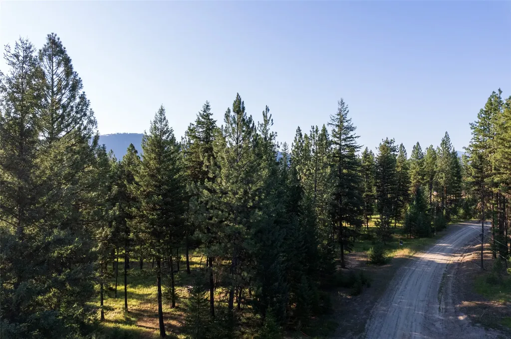 18 Baldy Mountain View Road Plains MT 59859