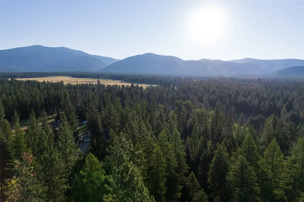 18 Baldy Mountain View Road Plains MT 59859