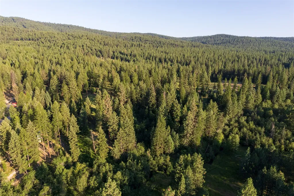 18 Baldy Mountain View Road Plains MT 59859