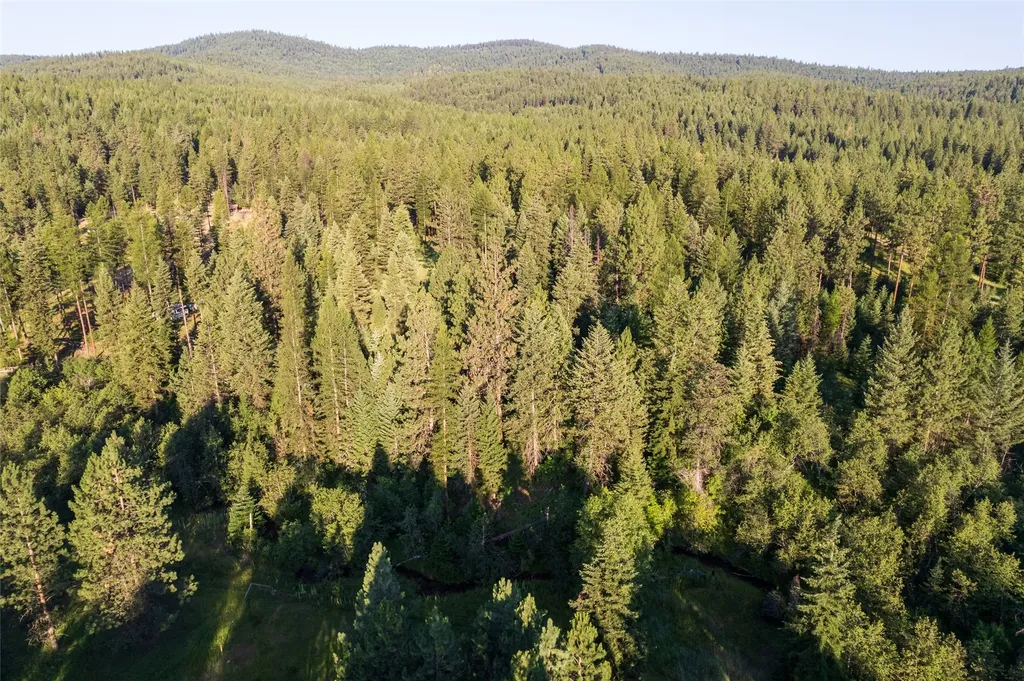 18 Baldy Mountain View Road Plains MT 59859