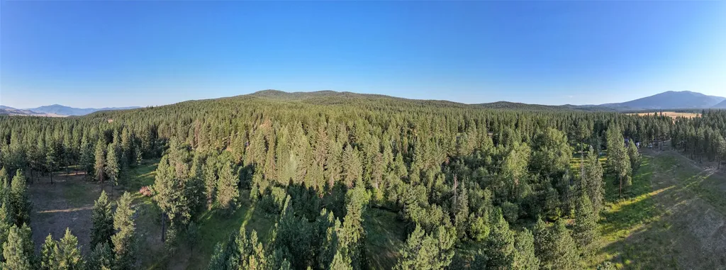 18 Baldy Mountain View Road Plains MT 59859