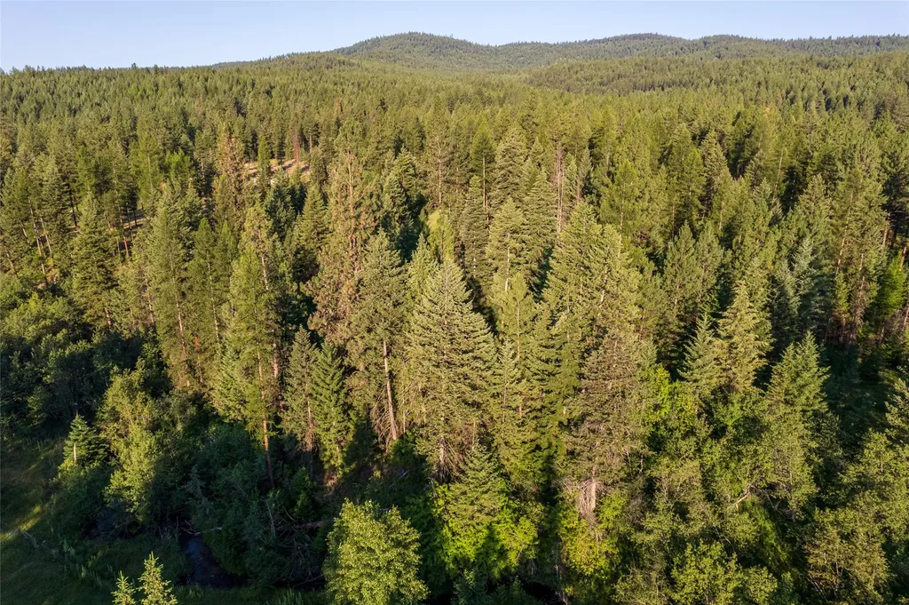 18 Baldy Mountain View Road Plains MT 59859