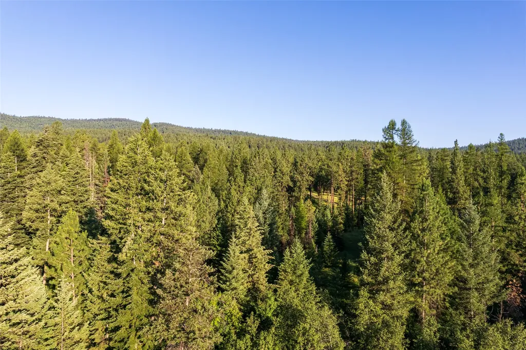 18 Baldy Mountain View Road Plains MT 59859