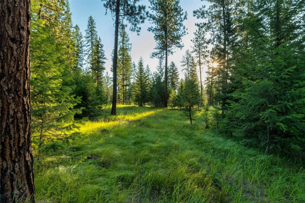18 Baldy Mountain View Road Plains MT 59859