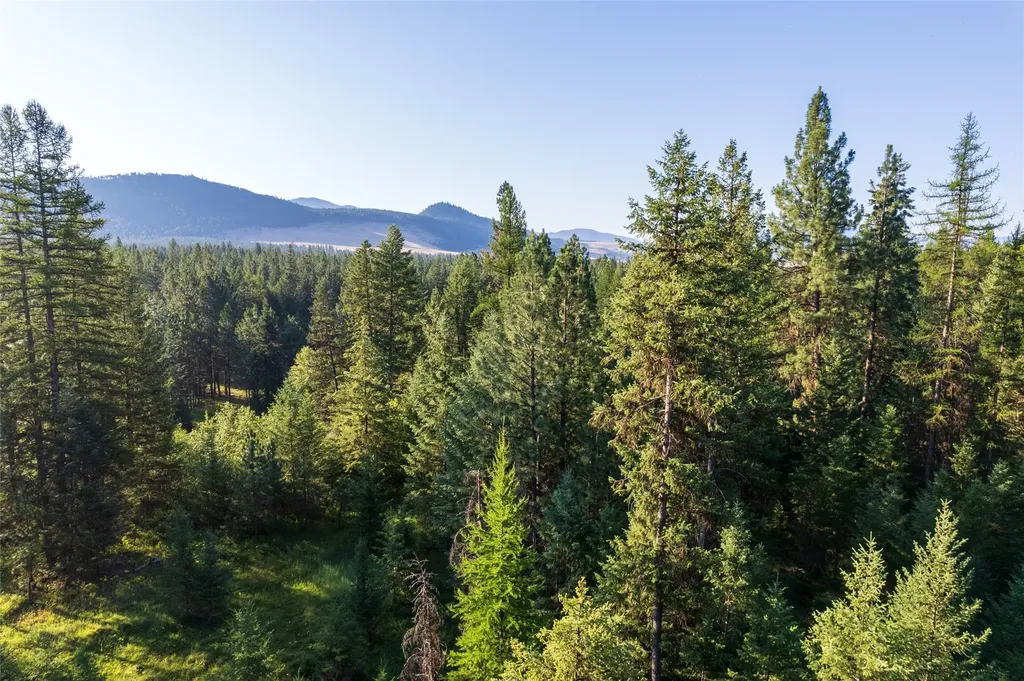 18 Baldy Mountain View Road Plains MT 59859