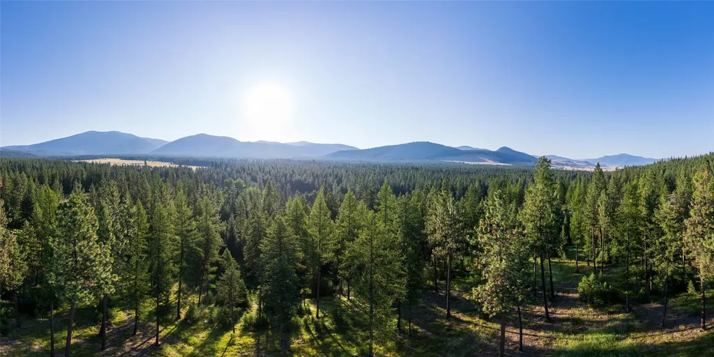 18 Baldy Mountain View Road Plains MT 59859