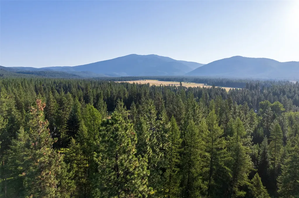 18 Baldy Mountain View Road Plains MT 59859