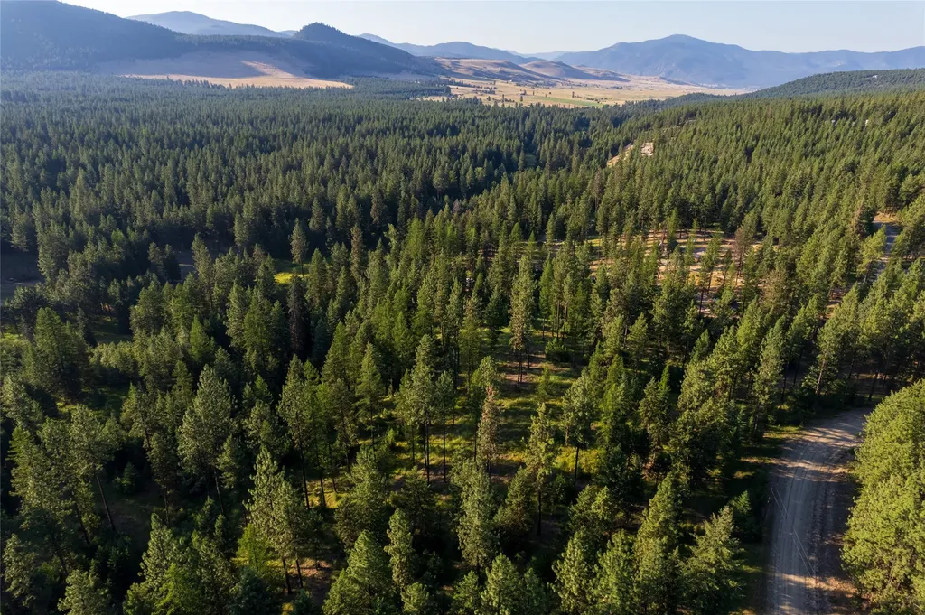 18 Baldy Mountain View Road Plains MT 59859