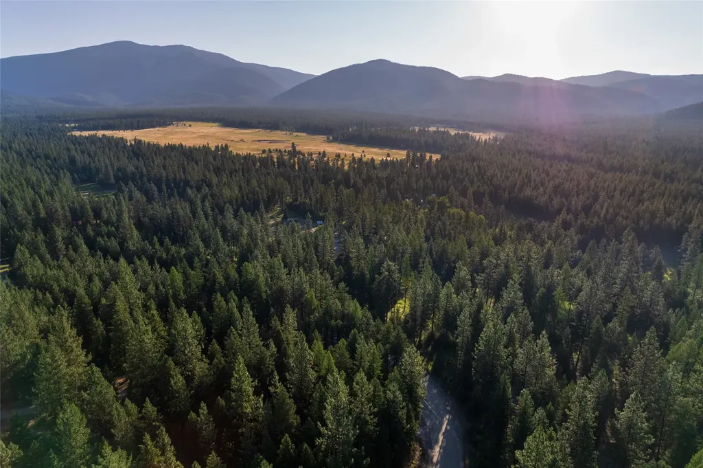 18 Baldy Mountain View Road Plains MT 59859