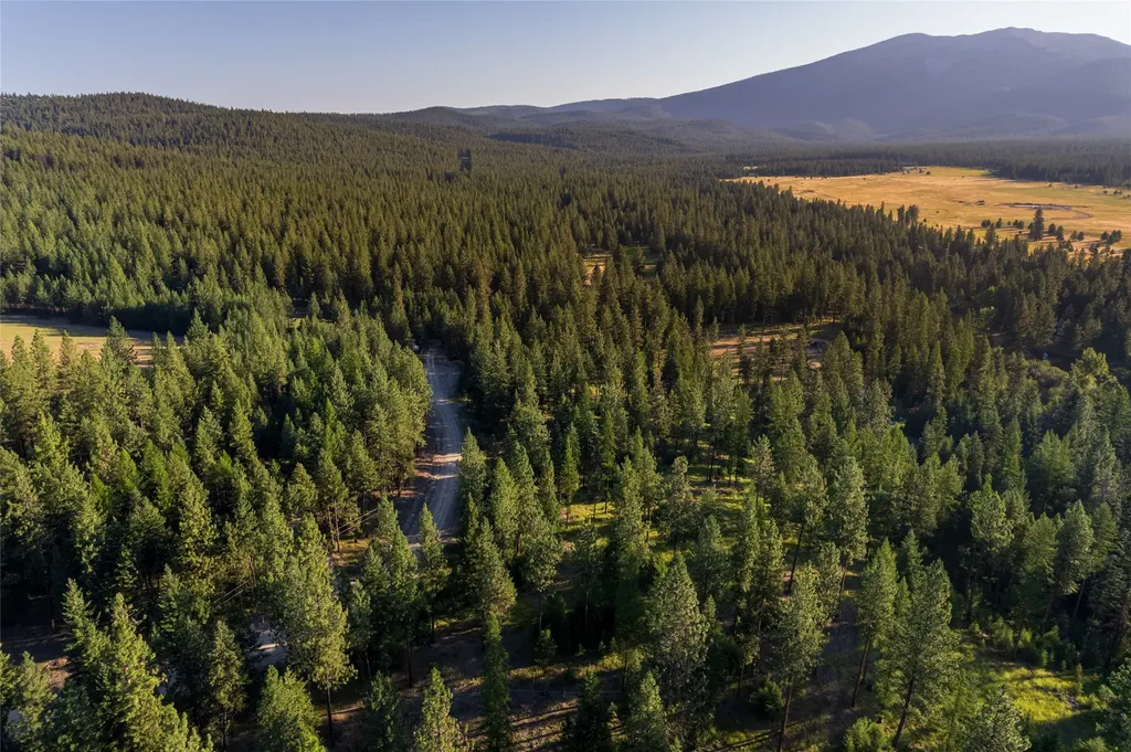 18 Baldy Mountain View Road Plains MT 59859