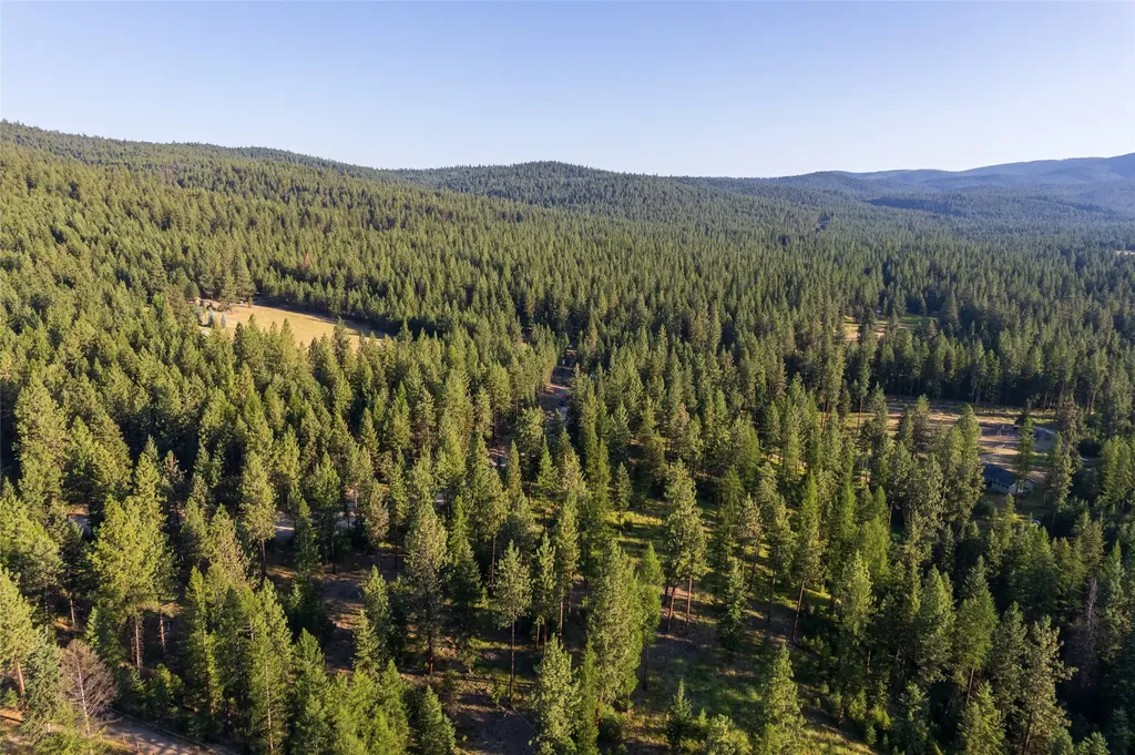 18 Baldy Mountain View Road Plains MT 59859
