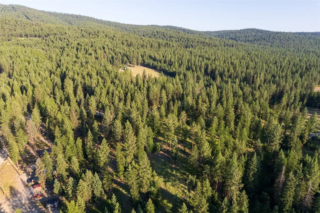 18 Baldy Mountain View Road Plains MT 59859