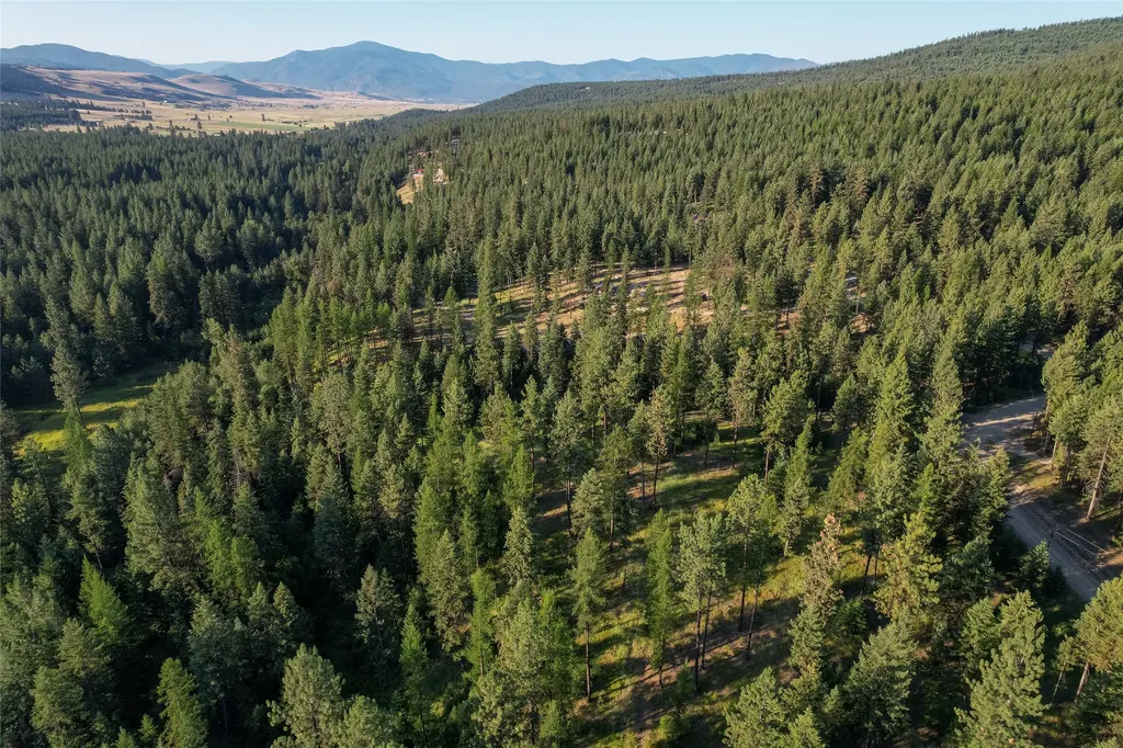 18 Baldy Mountain View Road Plains MT 59859