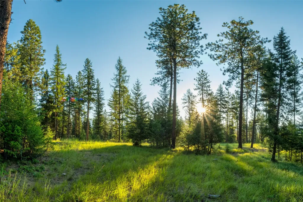 18 Baldy Mountain View Road Plains MT 59859