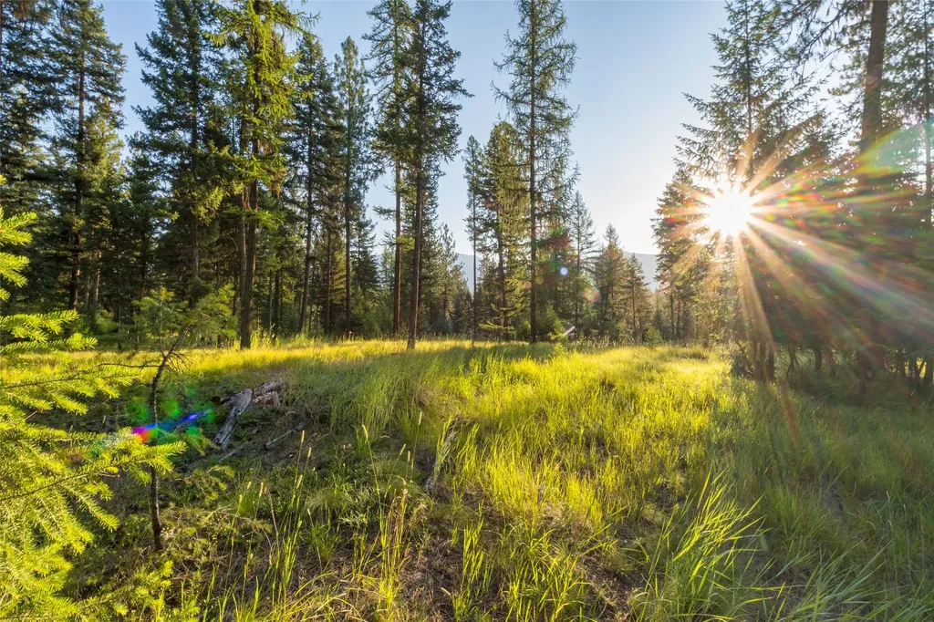 18 Baldy Mountain View Road Plains MT 59859