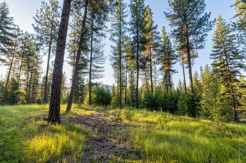 18 Baldy Mountain View Road Plains MT 59859