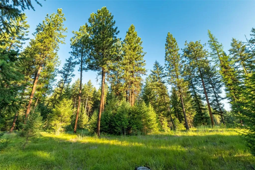 18 Baldy Mountain View Road Plains MT 59859