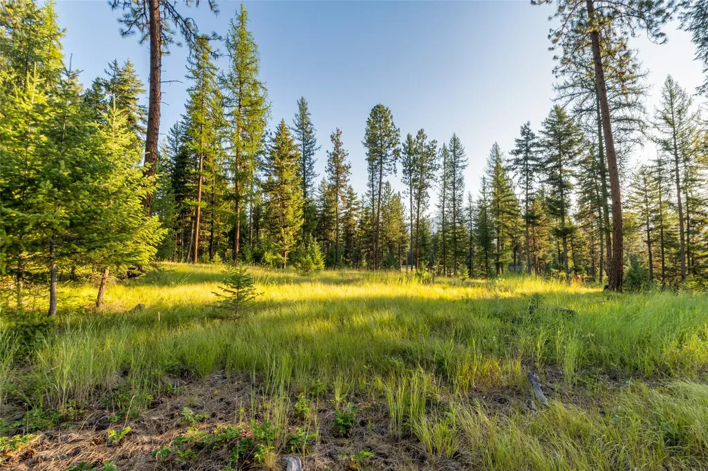 18 Baldy Mountain View Road Plains MT 59859