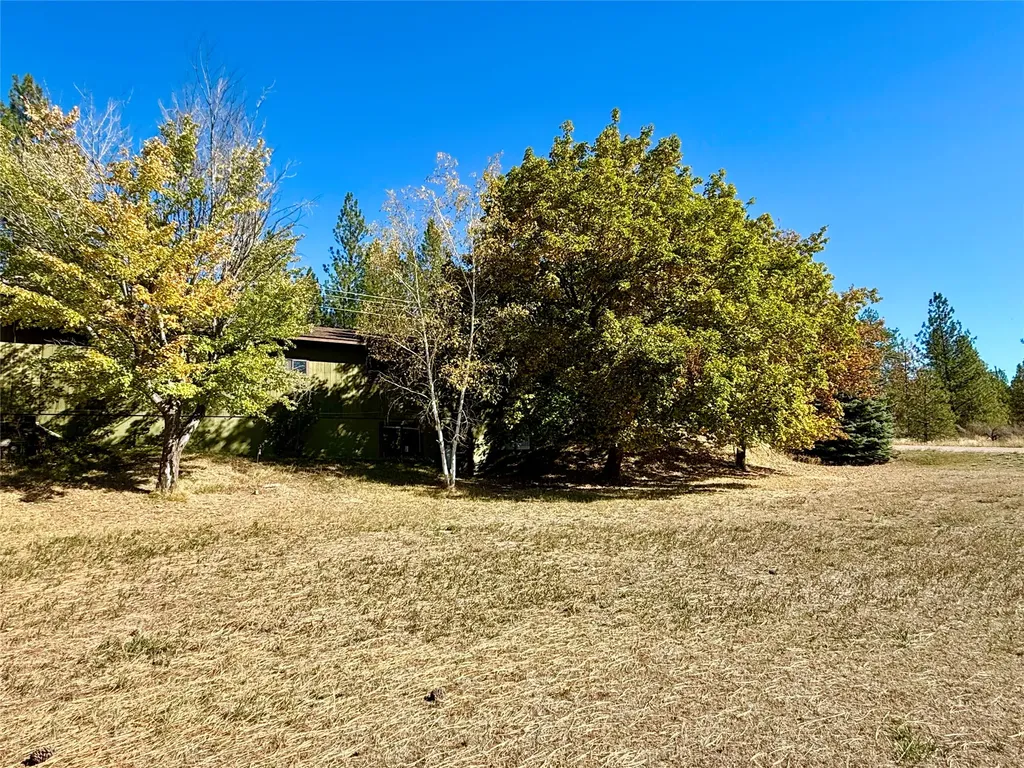 7273 Mount Highway 200 Plains MT 59859
